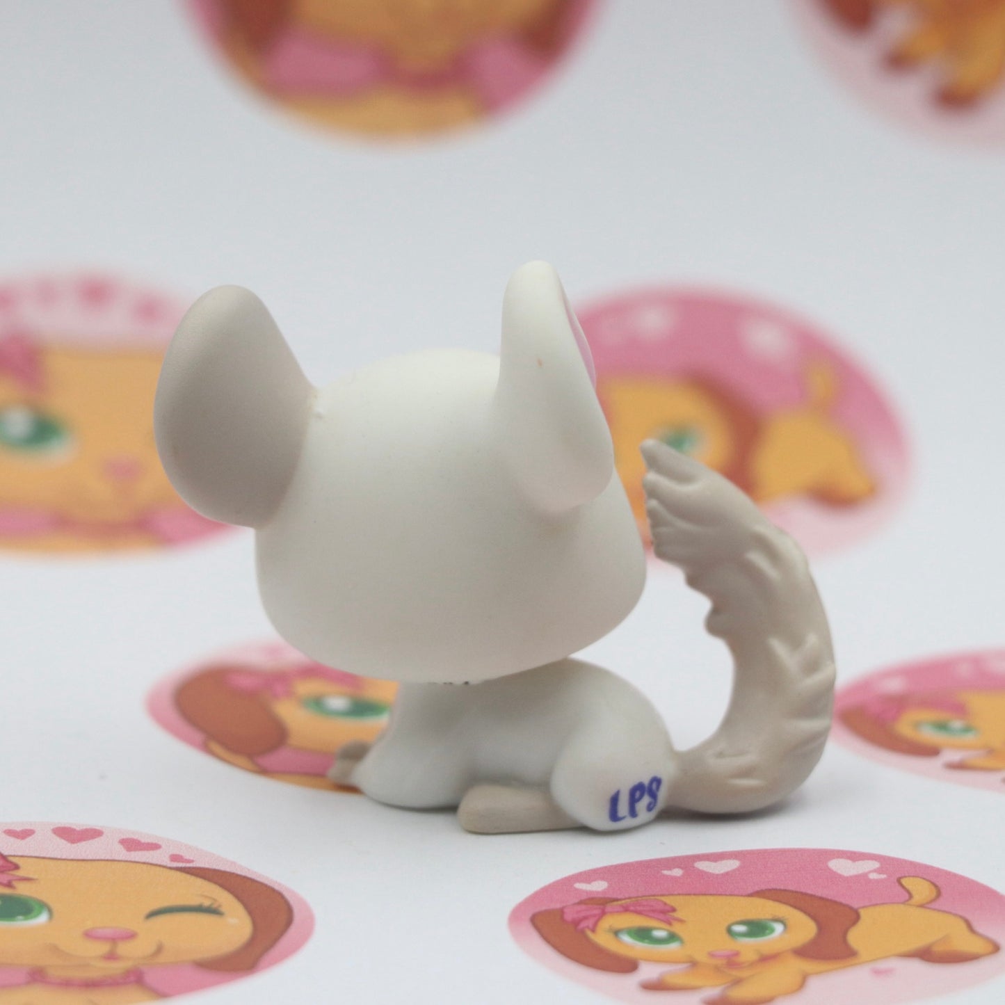 LPS Chinchilla