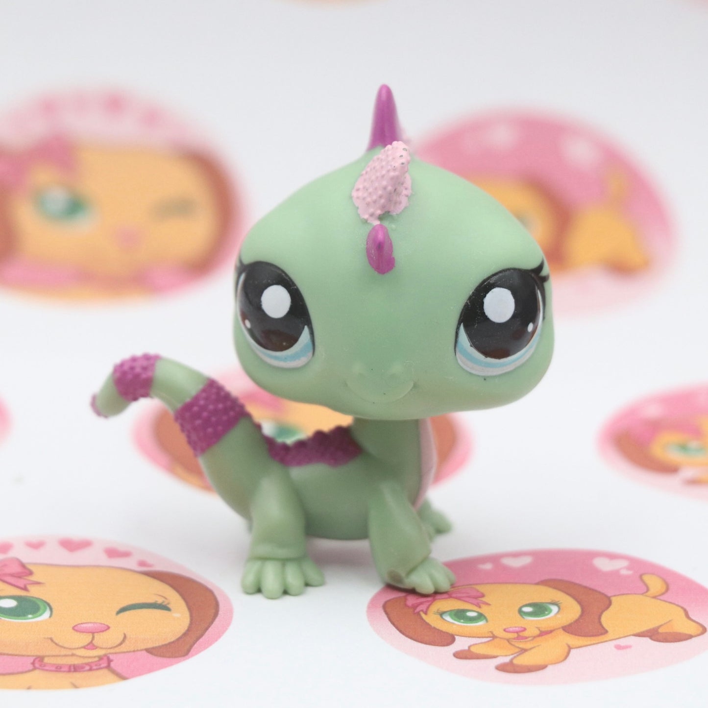 LPS Iguana