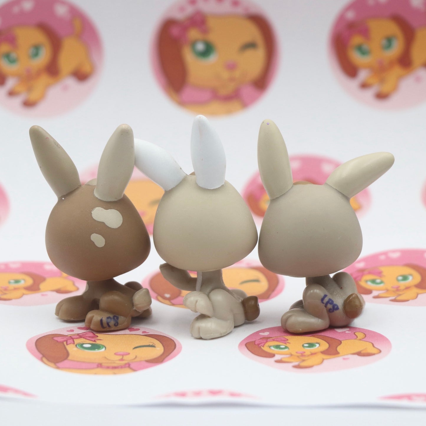 LPS Rabbits Triplets