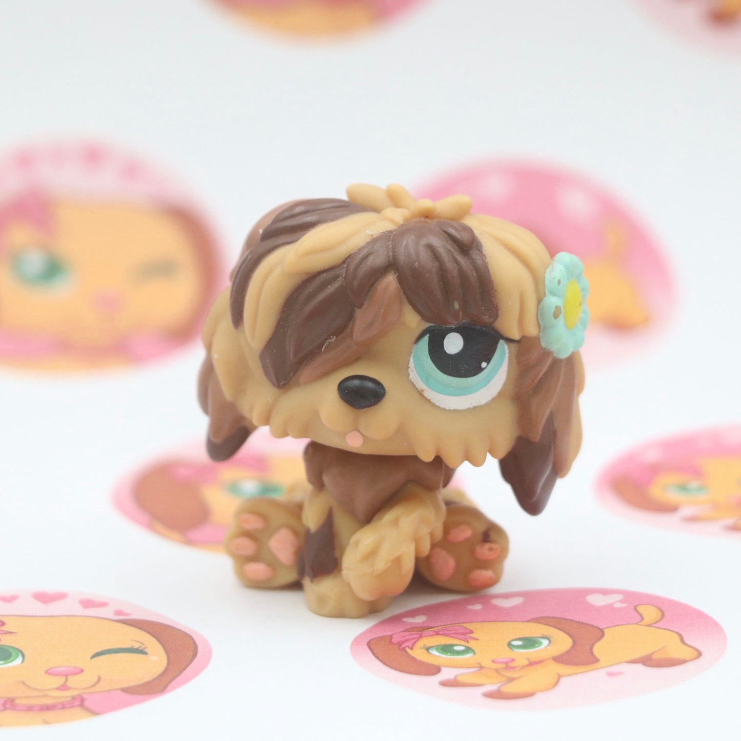 LPS Sheepdog