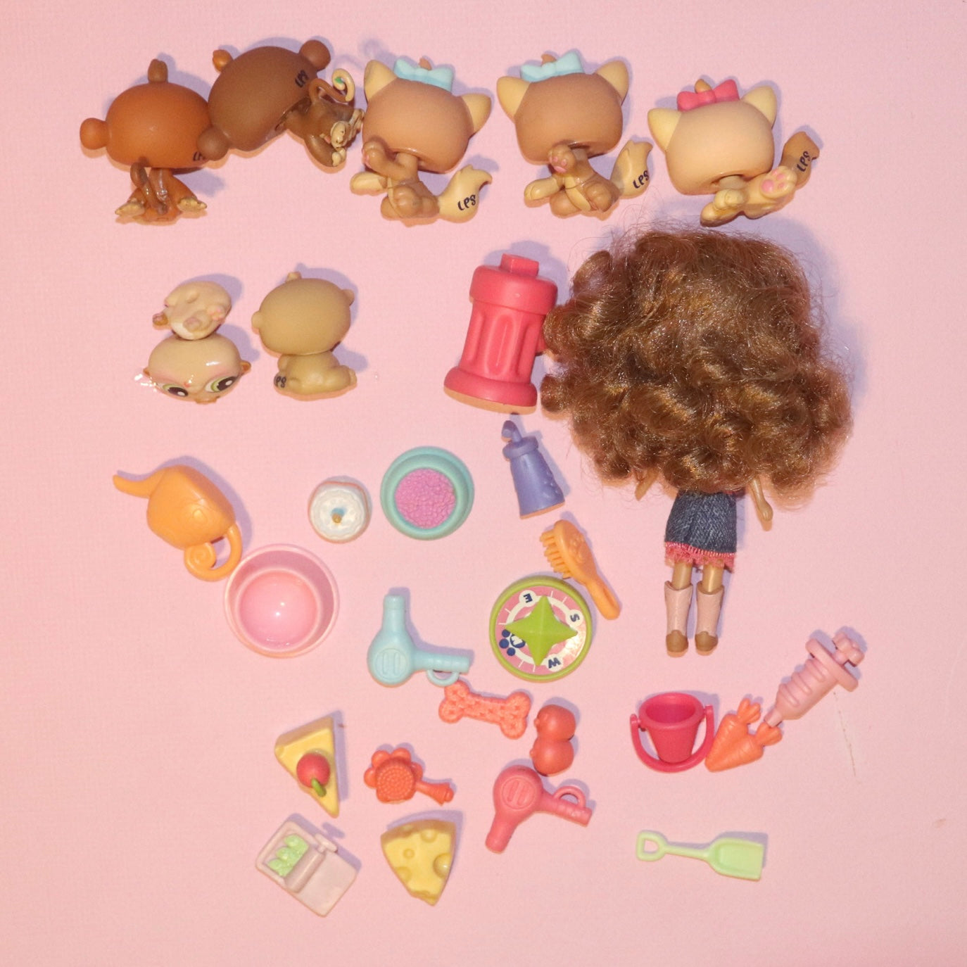 LPS Set + Blythe Doll + 20 Accessories