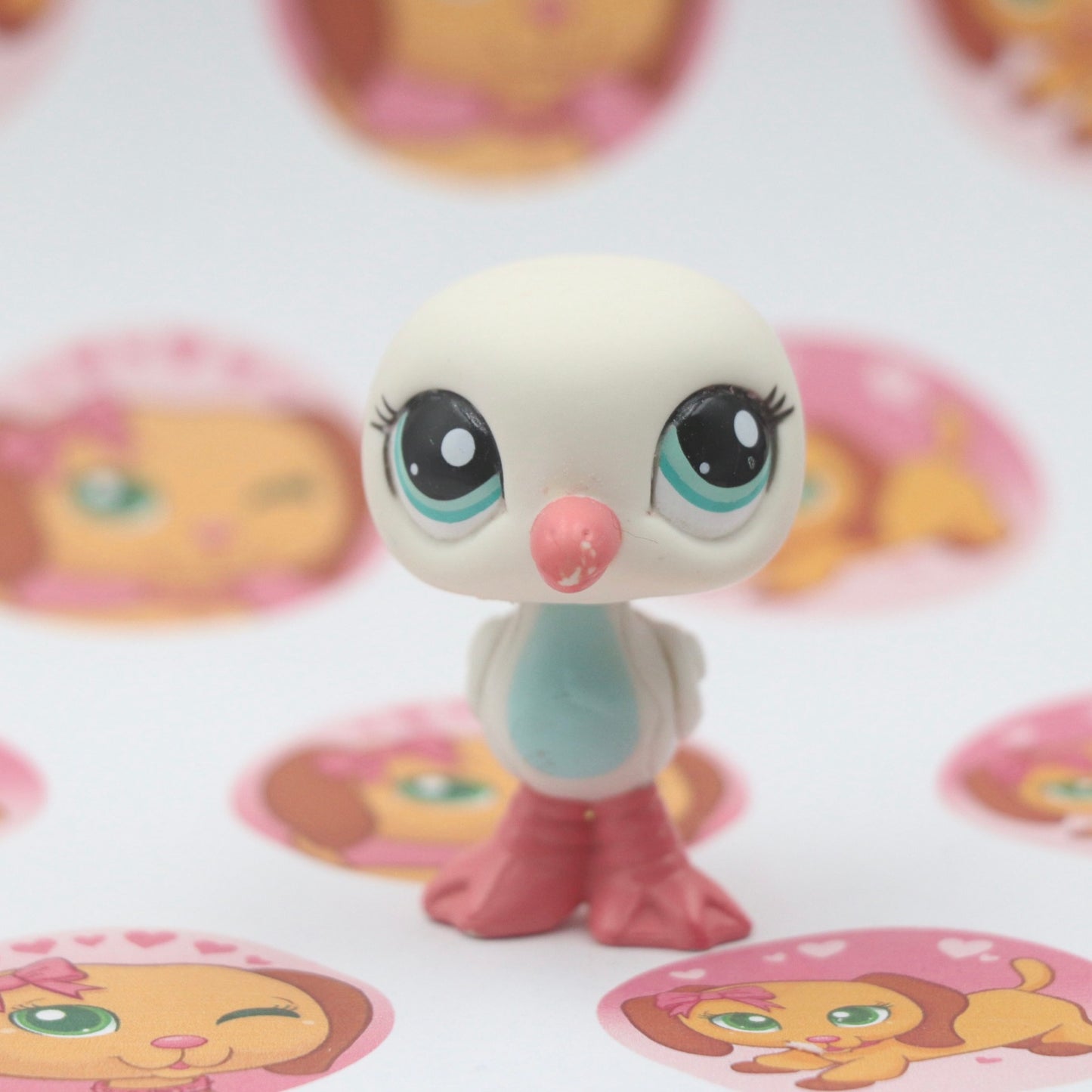 LPS Seagull
