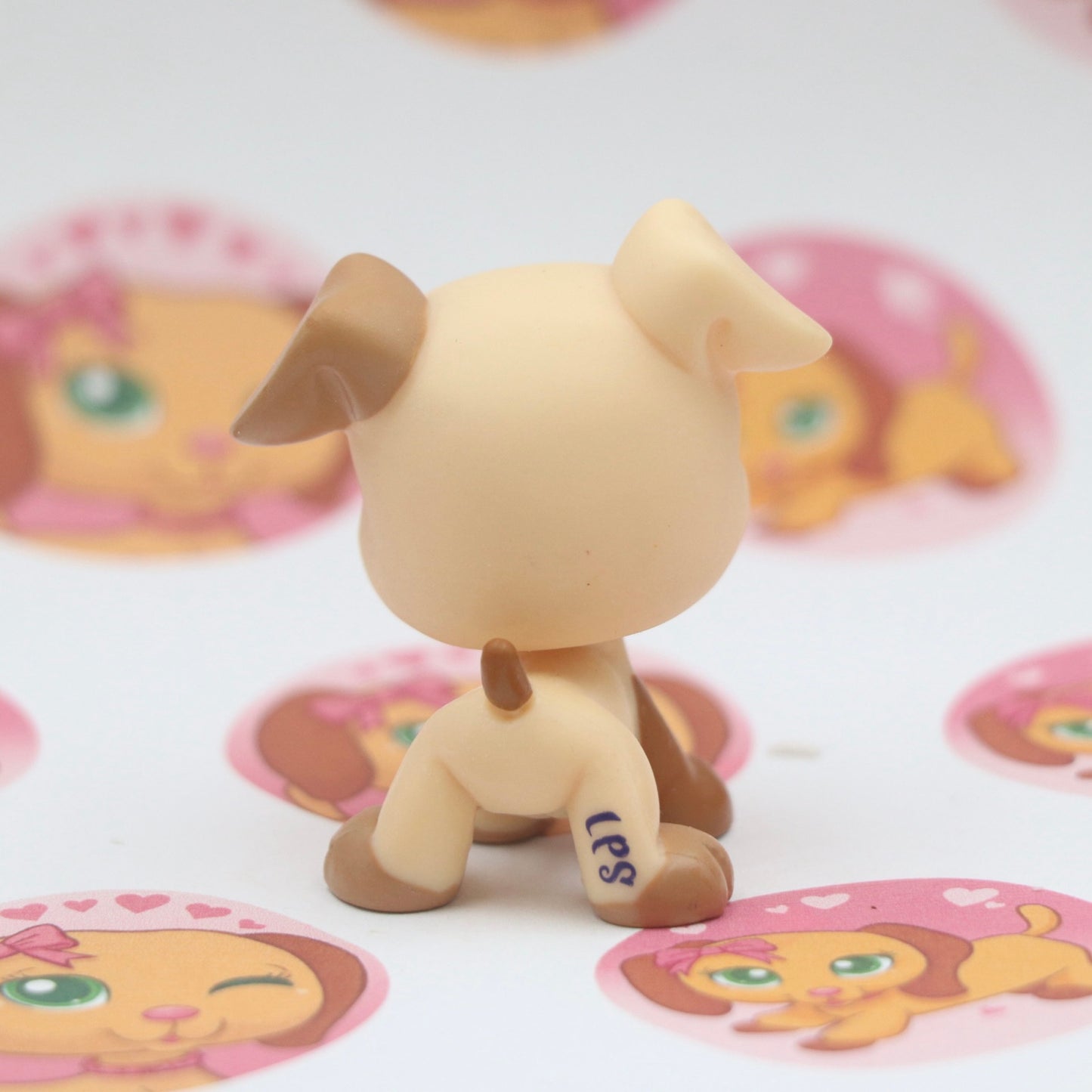 LPS RARE Boxer #1516