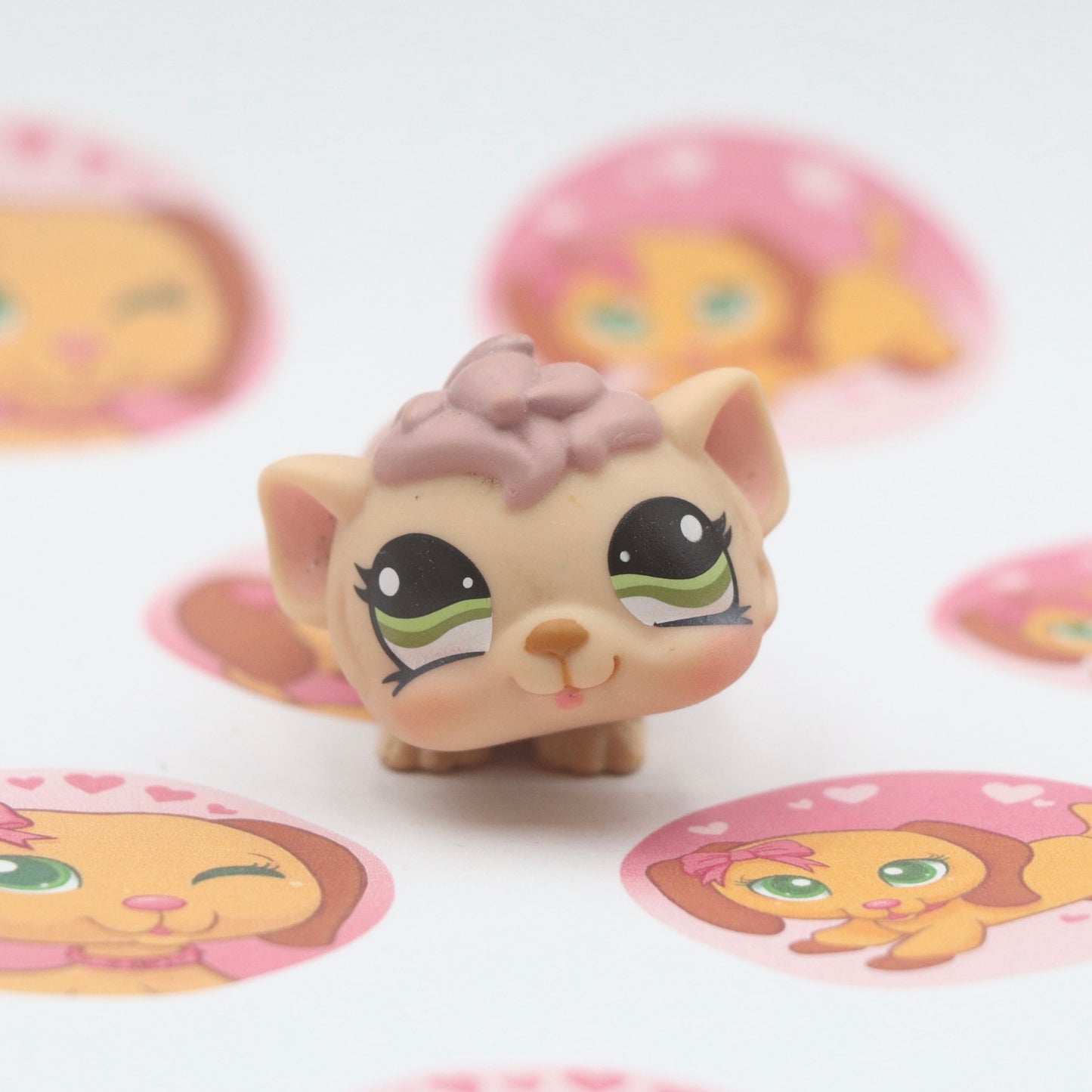 LPS Hamster