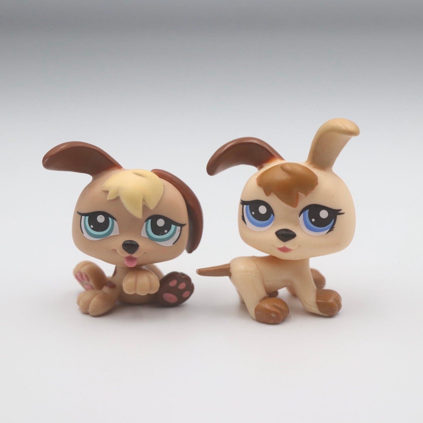 LPS Dogs