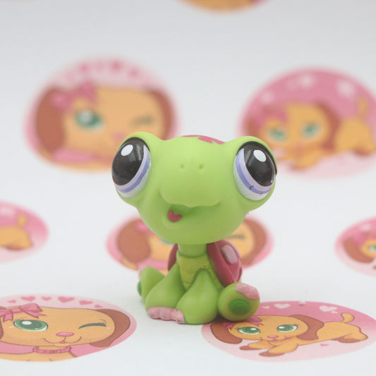 LPS RARE Turtle #1885