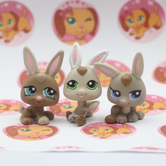 LPS Rabbits Triplets