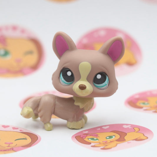 LPS RARE Dog Corgi #1158