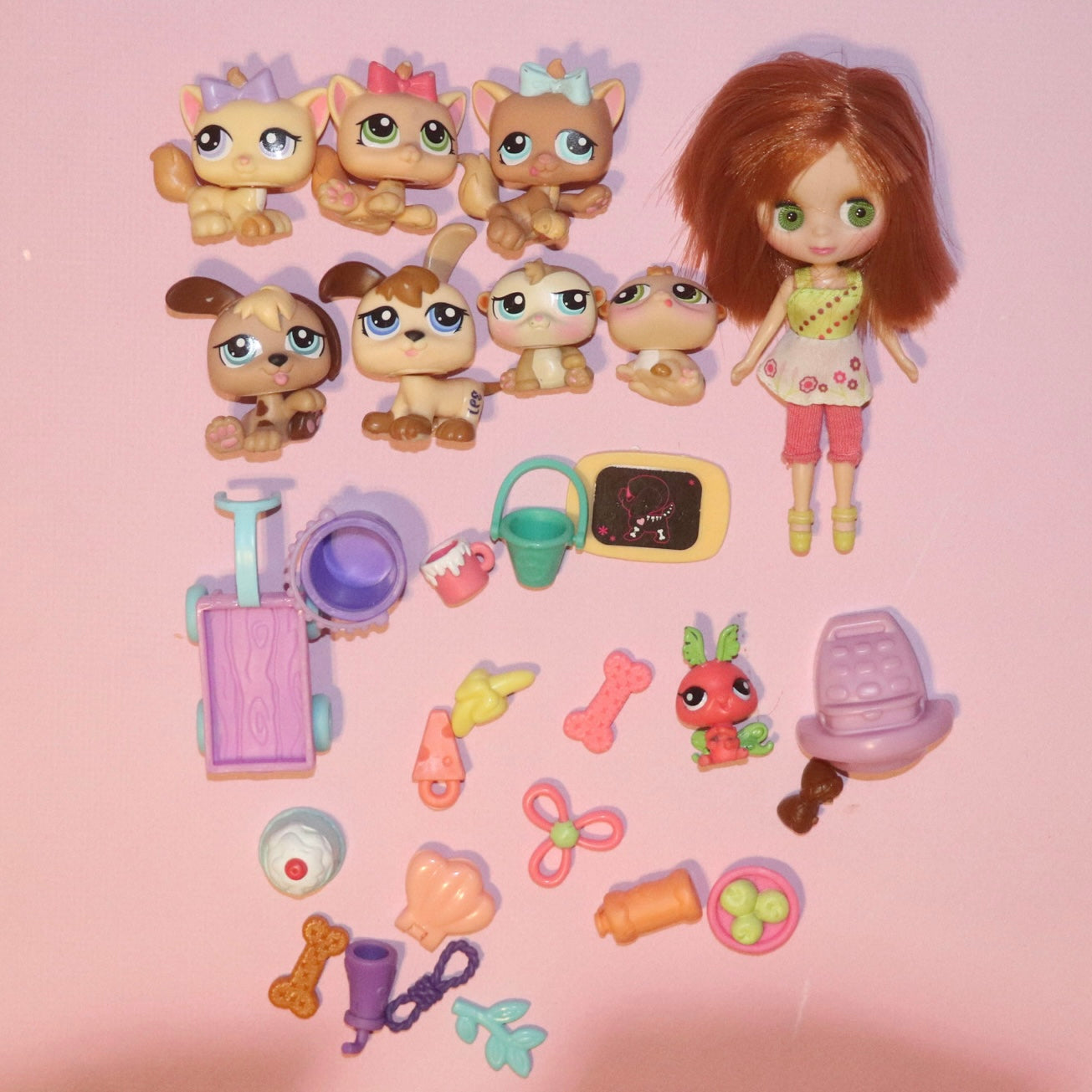 LPS Set + Blythe Doll + 20 Accessories