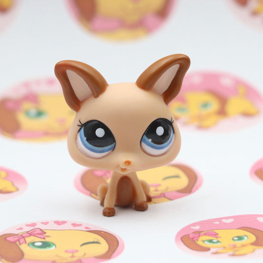 LPS RARE Chihuahua #2048