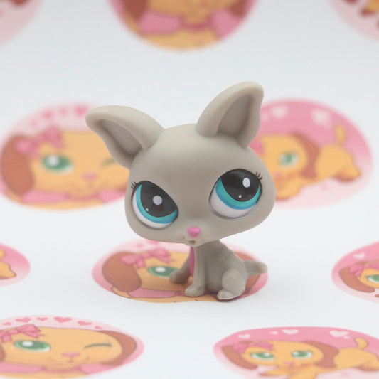 LPS RARE Chihuahua #2031