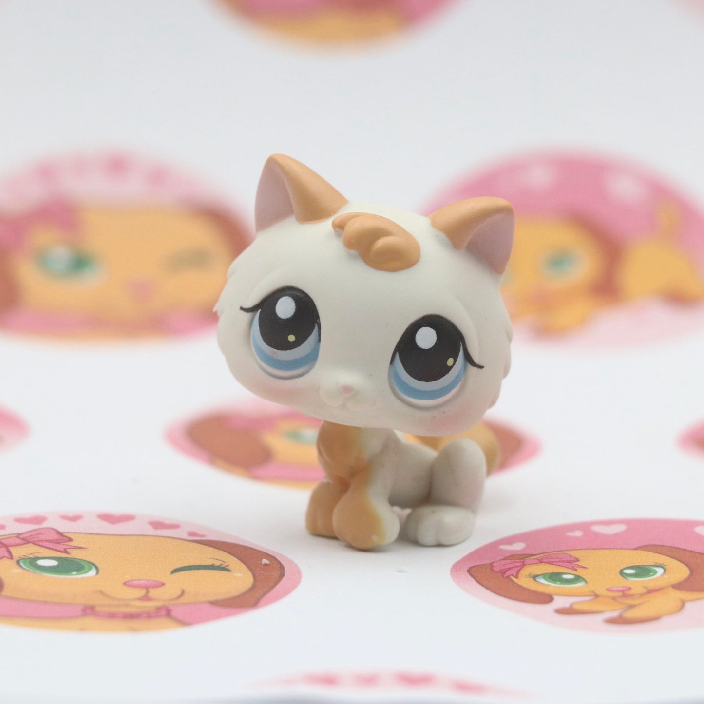 LPS Kitten