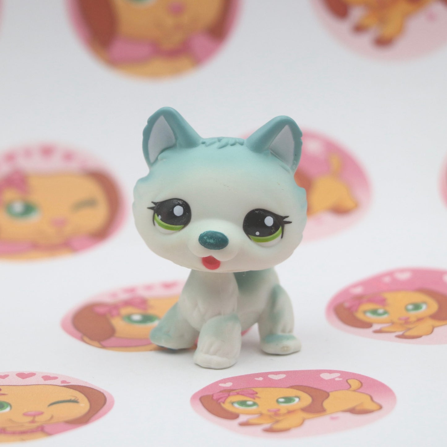 LPS RARE Husky #1563