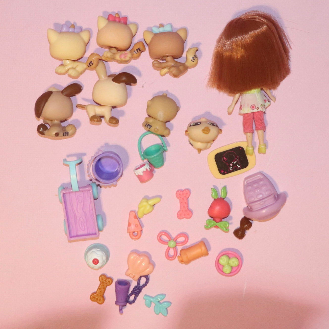 LPS Set + Blythe Doll + 20 Accessories