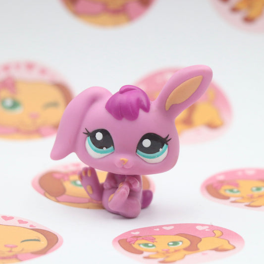 LPS Rabbit