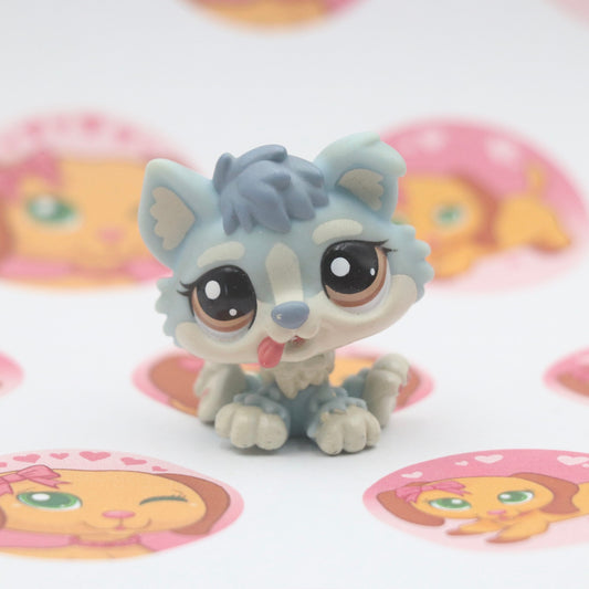 LPS RARE Baby Husky #1683