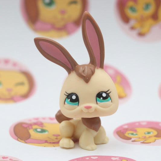 LPS RARE Rabbit #2434