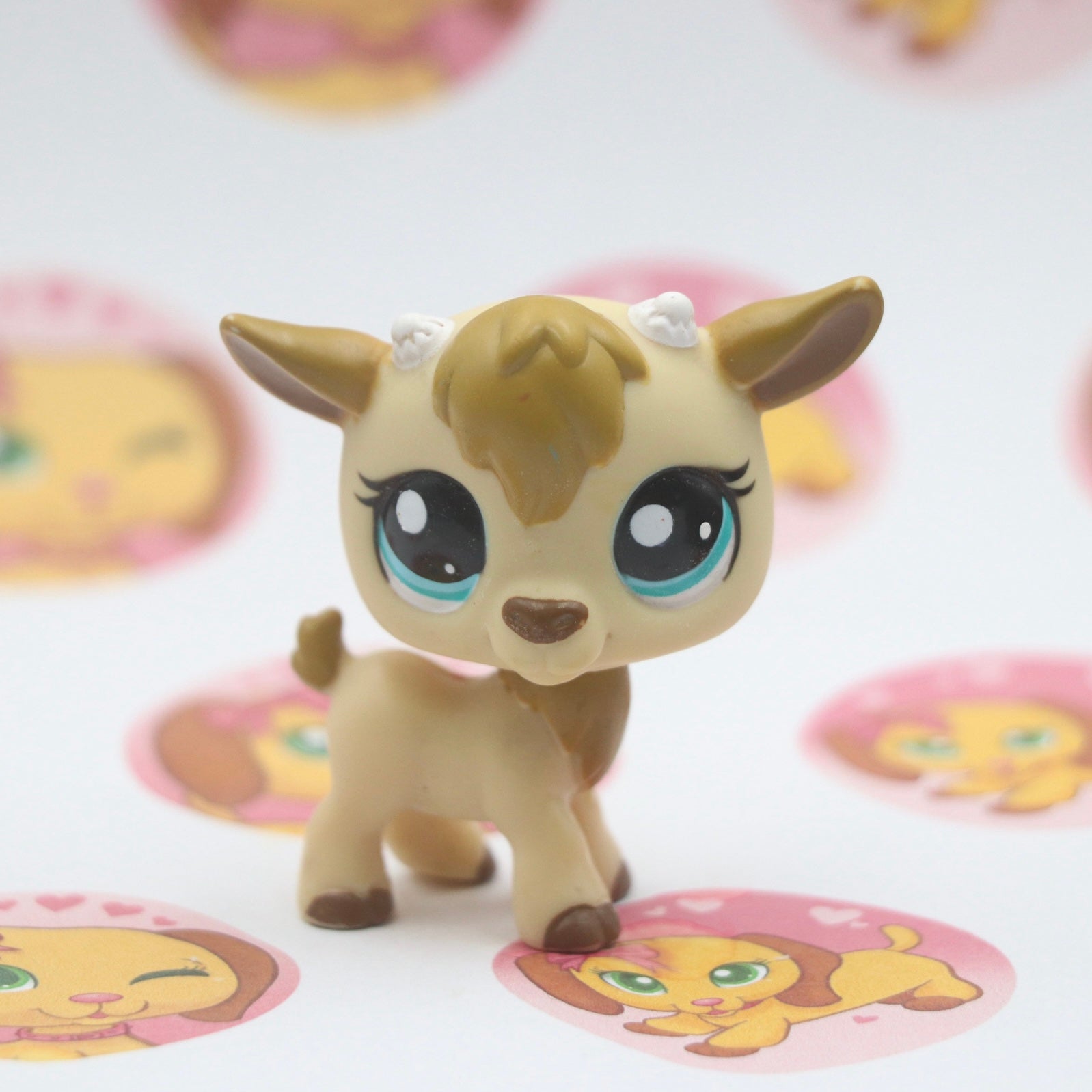 Home page – Page 5 – DreamieShopLPS
