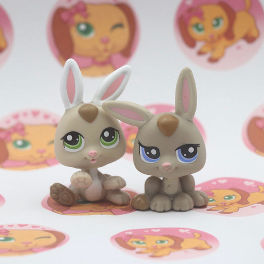 LPS Rabbits