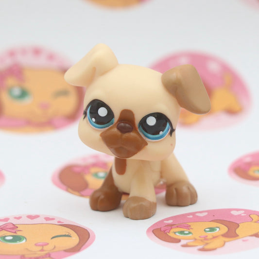 LPS RARE Boxer #1516