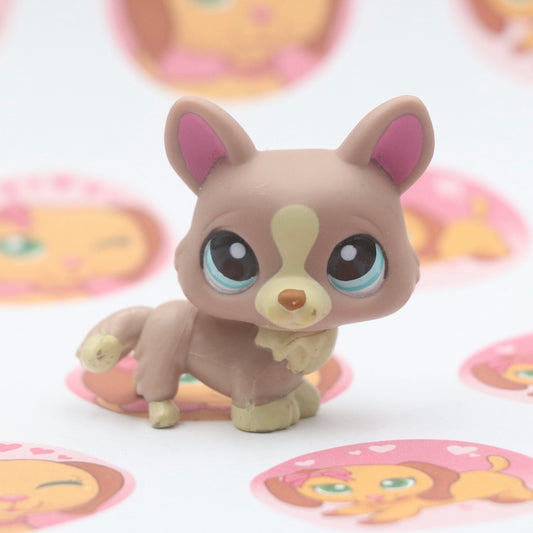 LPS RARE Dog Corgi #1158