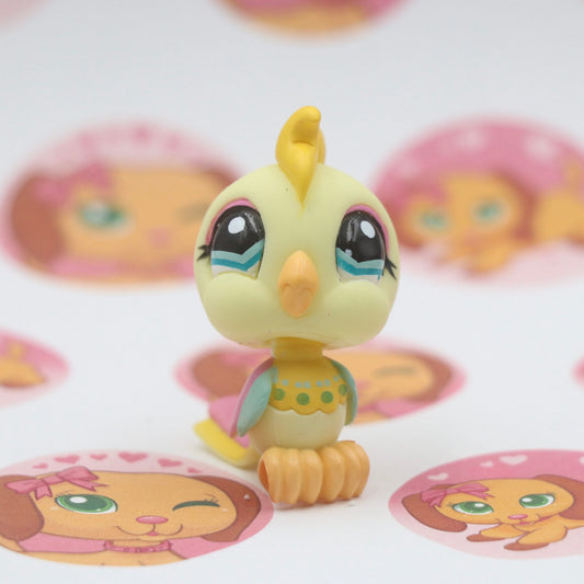 LPS Bird