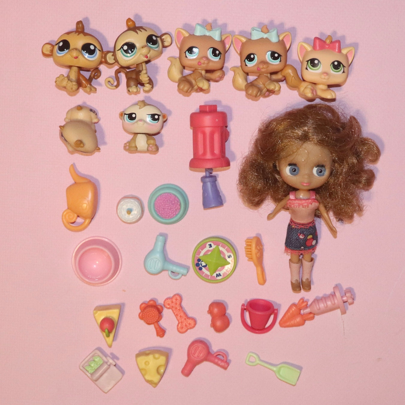 LPS Set + Blythe Doll + 20 Accessories