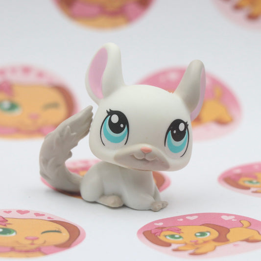 LPS Chinchilla