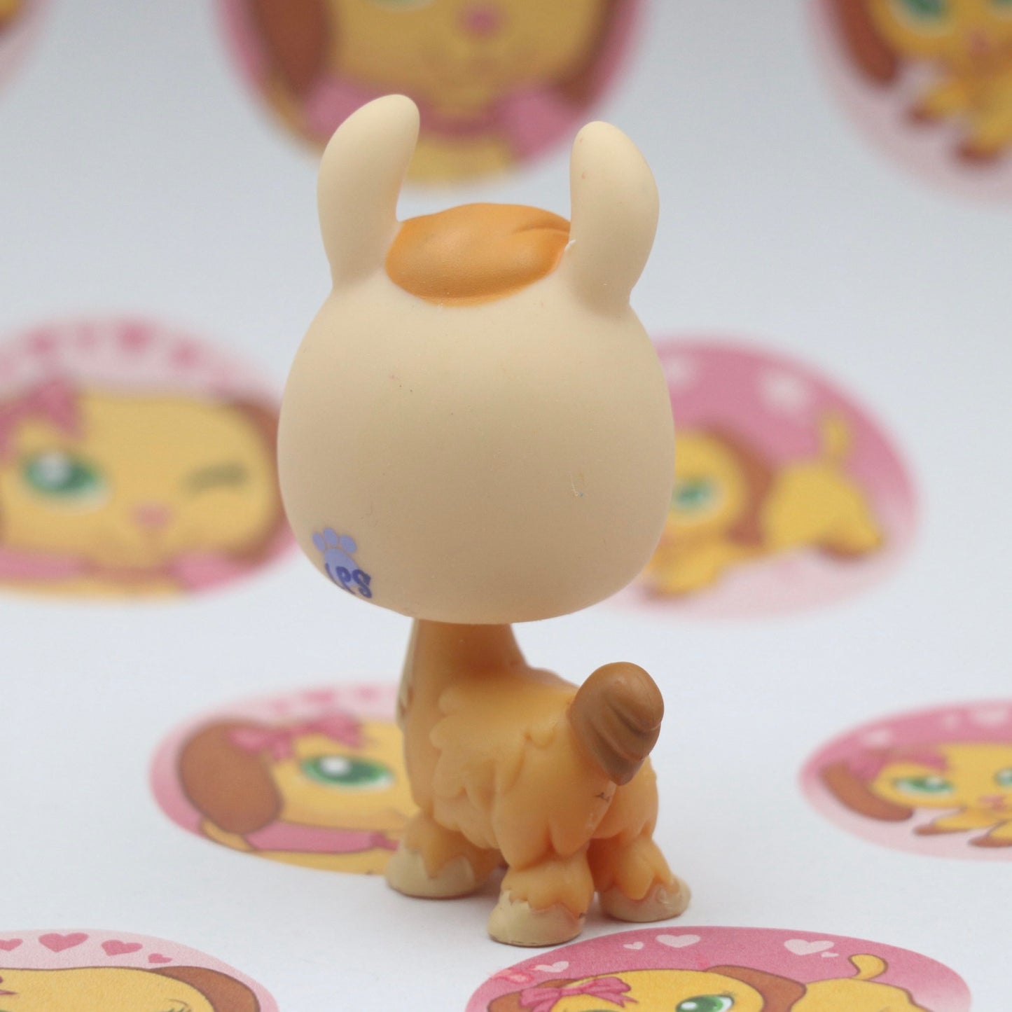 LPS Llama