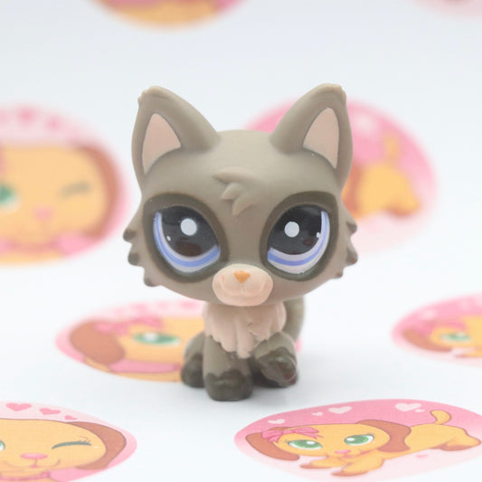 LPS RARE Wolfcat #1953
