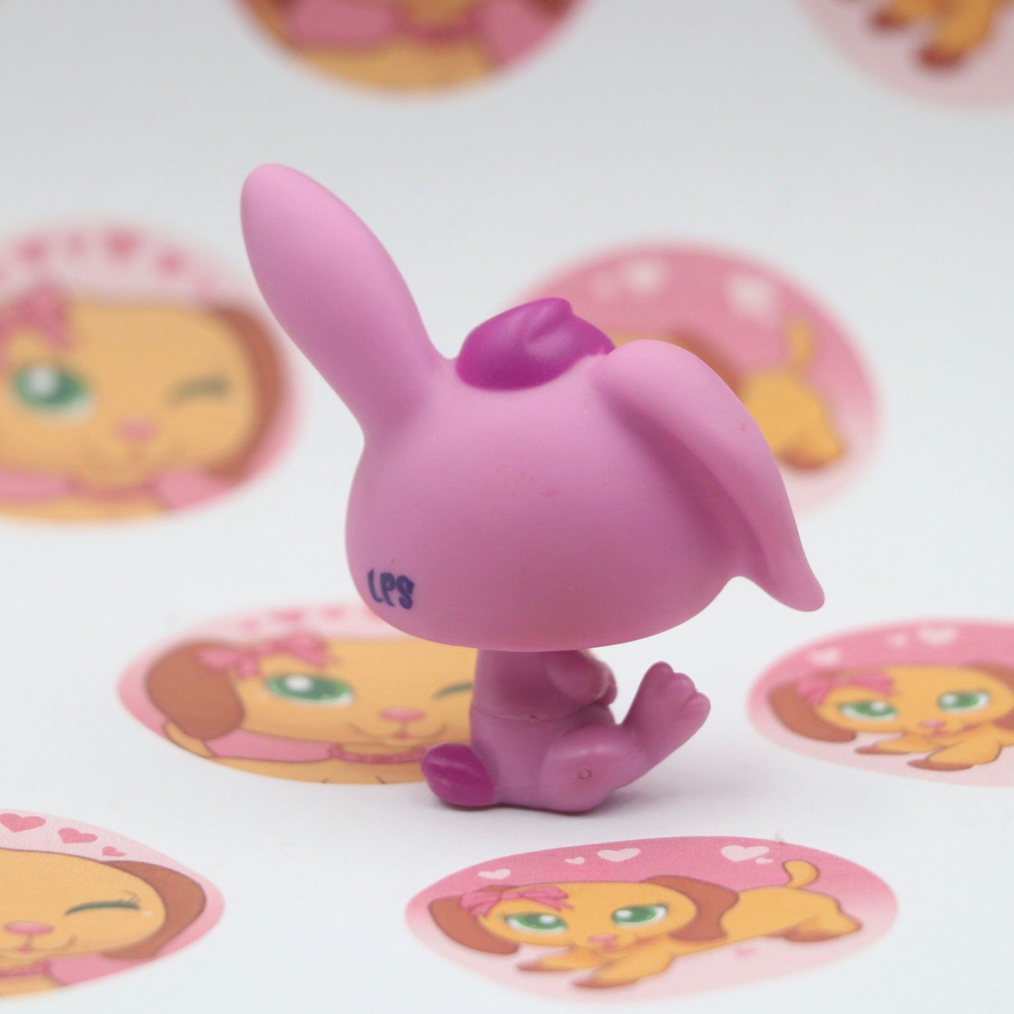 LPS Rabbit