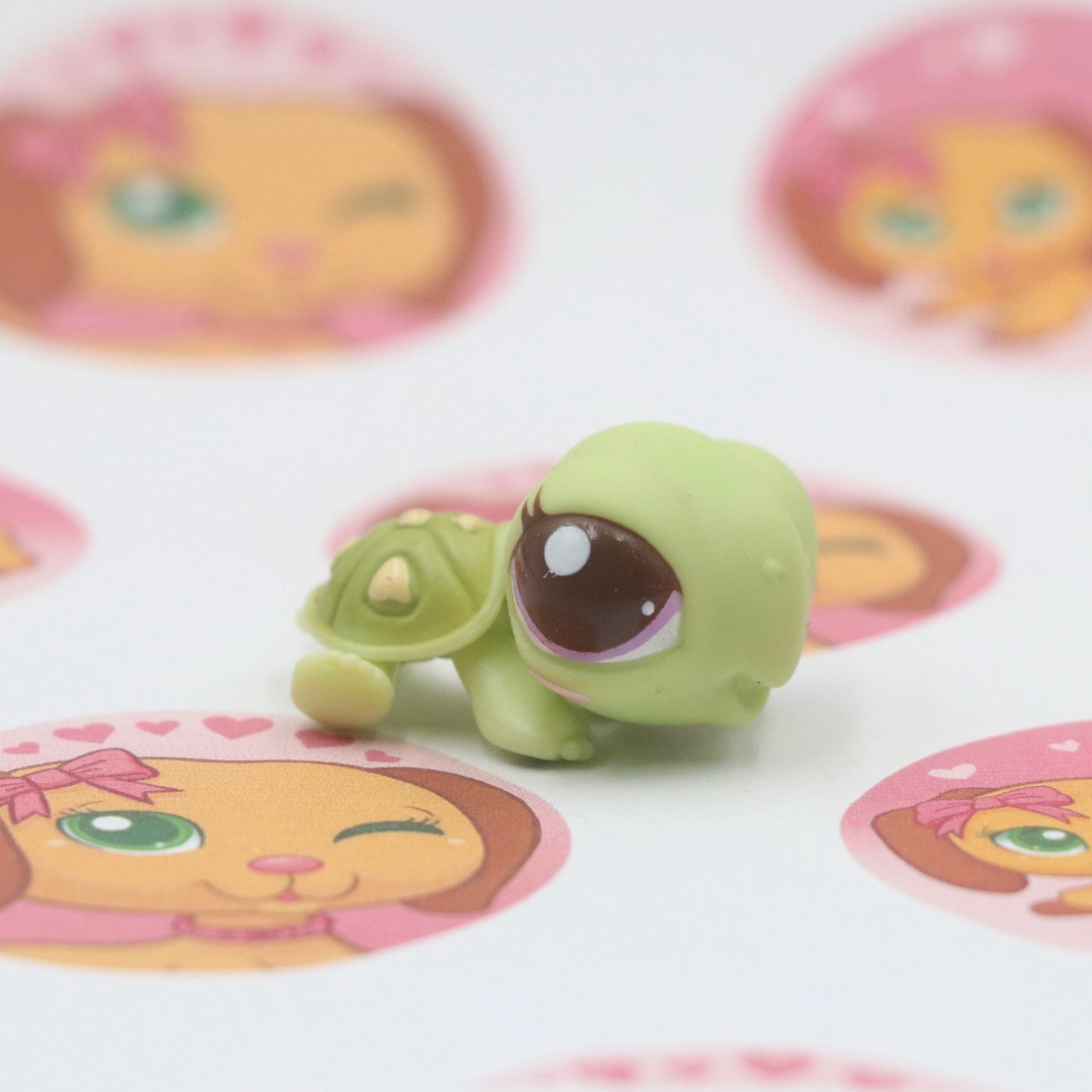 LPS RARE Turtle #2560