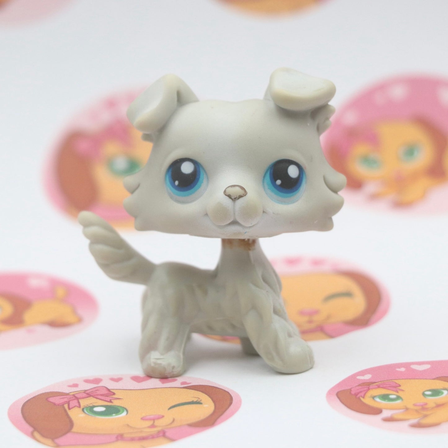 LPS Collie #363