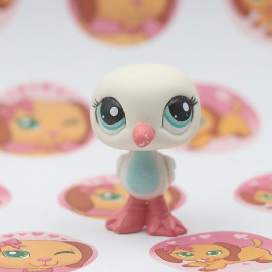 LPS Seagull