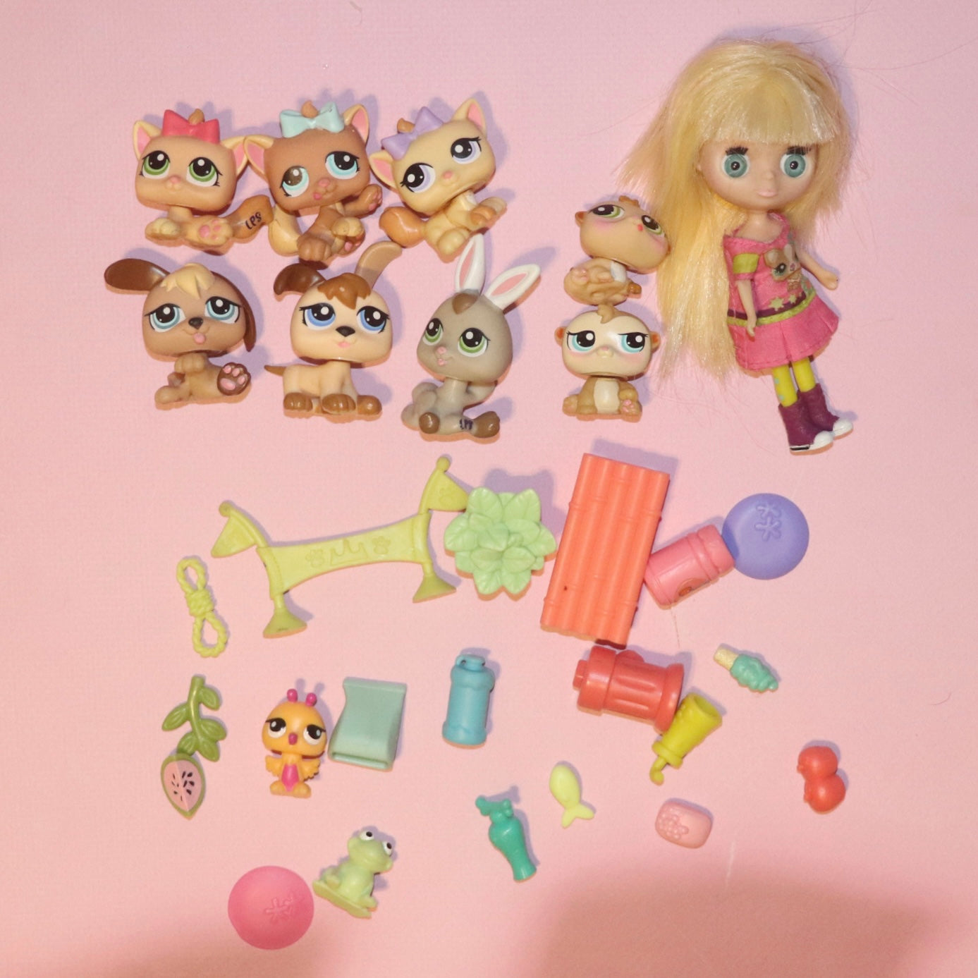 LPS Set + Blythe Doll + 20 Accessories