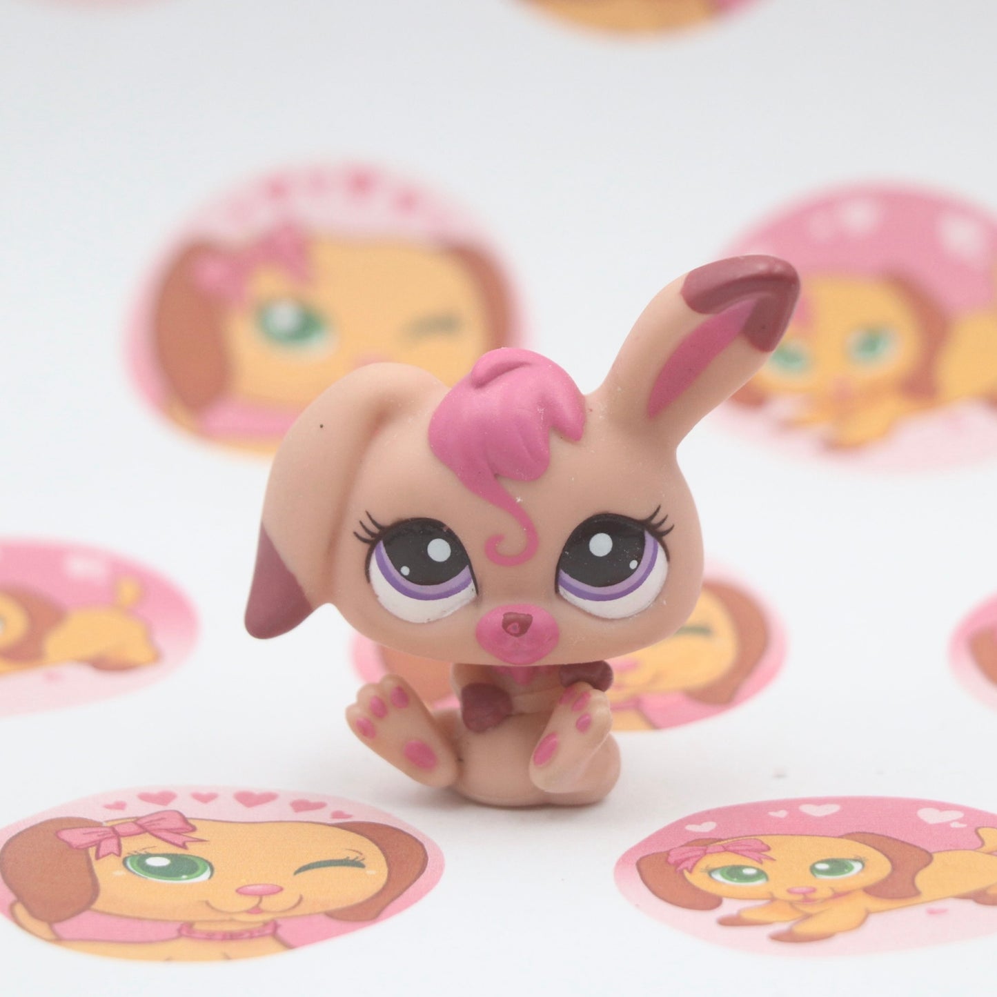 LPS Rabbit