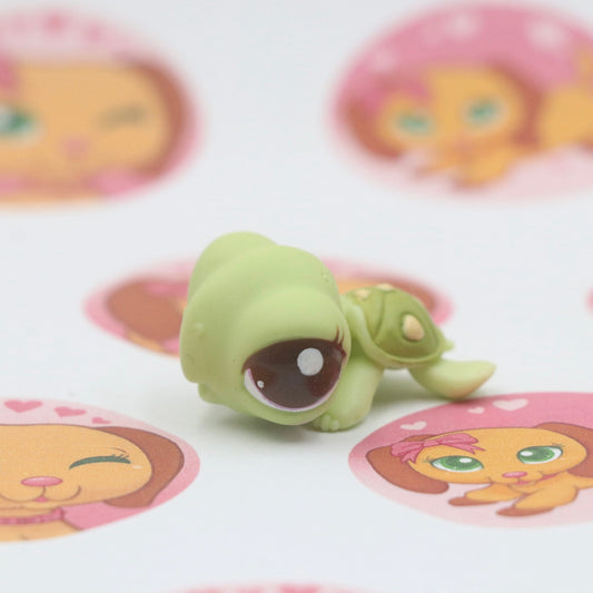 LPS RARE Turtle #2560