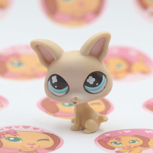 LPS Chihuahua