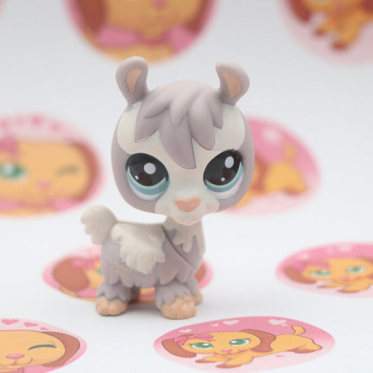 LPS RARE Llama #1937